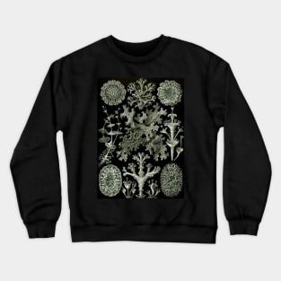 Lichen by Ernst Haeckel Crewneck Sweatshirt